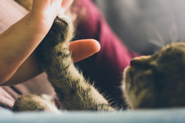 jonas-vincent-xulIYVIbYIc-unsplash