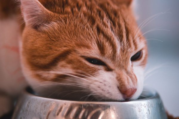 konstantinos-feggoulis-q9HWfccm4-0-unsplash